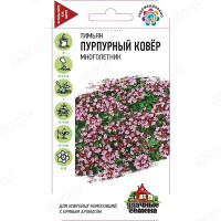 Тимьян Пурпурный ковер Удач сем Гавриш Ц