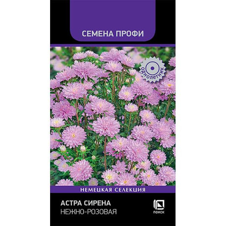 Семена Астра Сирена Нежно-розовая Поиск Цх10