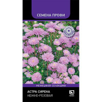 Семена Астра Сирена Нежно-розовая Поиск Цх10