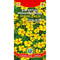 Бархатцы Лемон Джем Плазма Ц