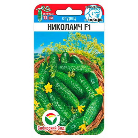 Огурец Николаич СибСад Ц
