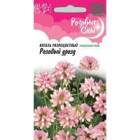 Вязель Розовый дрозд Гавриш Цх10