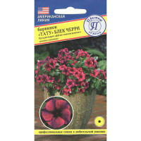 Барвинка Тату Блек Черри Престиж