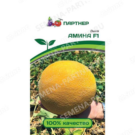Дыня Амина Партнер Ц