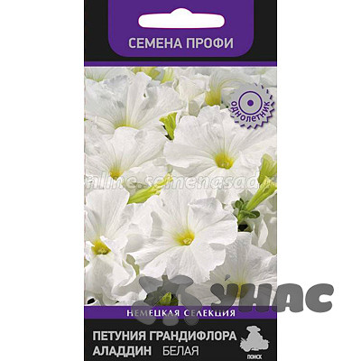 Петуния Аладдин Белая гранд. Поиск Ц