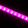 INBLOOM Светильник светодиодный для растений 87х2х3см, 45 LED, фиолетовый, 14Вт, 220В, РС, металл