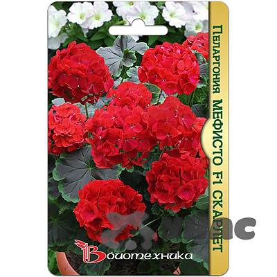 Пеларгония Мефисто Скарлет Биотехника Ц
