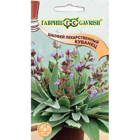 Шалфей лекарственный Кубанец Гавриш Ц