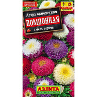 Астра Помпонная смесь Аэлита Ц