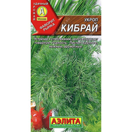 Укроп Кибрай Аэлита Ц