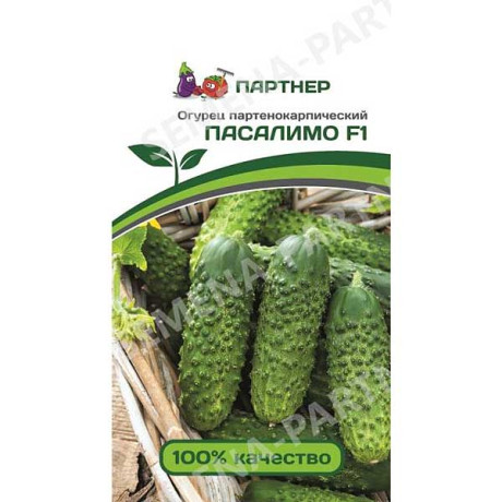 Огурец Пасалимо Партнер Ц