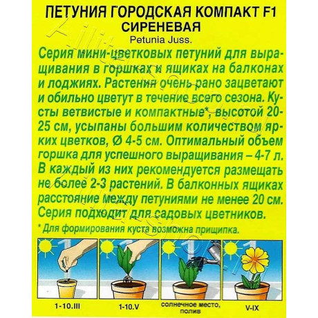 Петуния Городская компакт сиреневая Аэлита