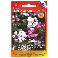 Роза Крылья Ангелов НК Ц