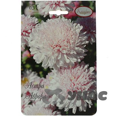 К Астра Аврора Каприс