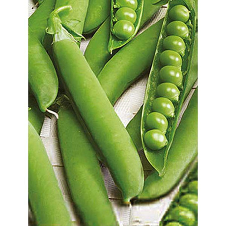 Горох Фуга овощной НК Ц