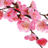 LADECOR Цветок искусственный ветка сакуры, 105 см, ткань, пластик, железная проволока, 2 цвета