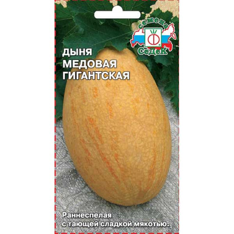 Дыня Медовая гигантская Седек Ц /10 шт