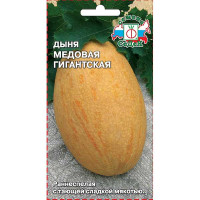 Дыня Медовая гигантская Седек Ц /10 шт