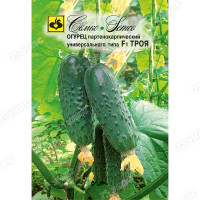 Огурец Троя Семко Ц
