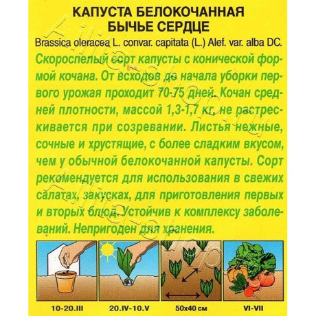 Семена Капуста Бычье сердце Аэлита Ц