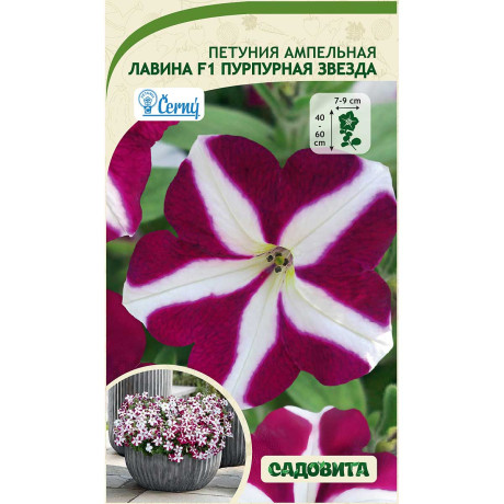 Петуния Лавина F1 Пурпур звезда 7др Cerny/Садовита