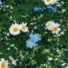 INBLOOM Изгородь искусственная Полевые цветы белые/синие 60х40см, PE