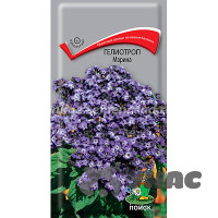 Гелиотроп Марина Поиск Ц