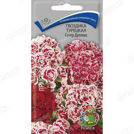 Гвоздика Супер Дуплекс Турецкая Поиск Ц