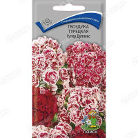 Гвоздика Супер Дуплекс Турецкая Поиск Ц