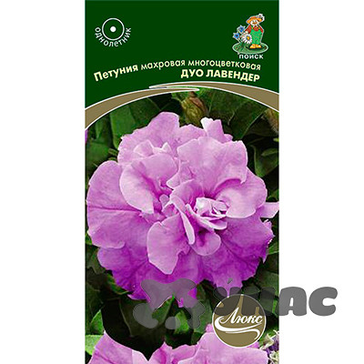 Петуния Дуо Лавендер махр. Поиск Ц