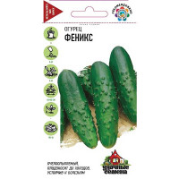 Огурец Феникс Удач семена Гавриш Ц