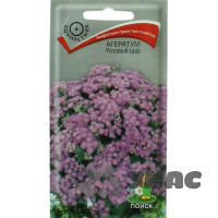 Агератум Розовый шар Поиск Ц