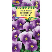 Виола рогатая Сорбет ХР Парпл Айс Гавриш Ц