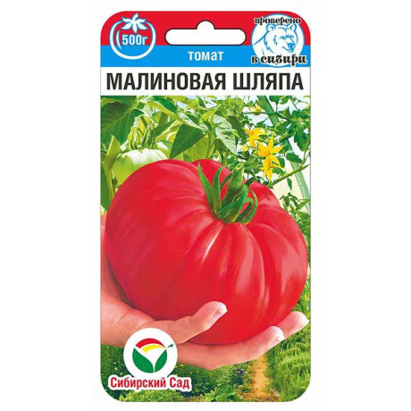 Томат Малиновая шляпа СибСад