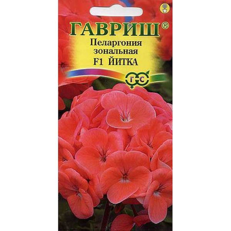 КОМ Пеларгония Йитка Гавриш Ц