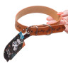 Ошейник 52*2,5 см полиуритан с рисунком МИКС NA2617 (480