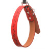 Ошейник 52*2,5 см полиуритан с рисунком МИКС NA2617 (480