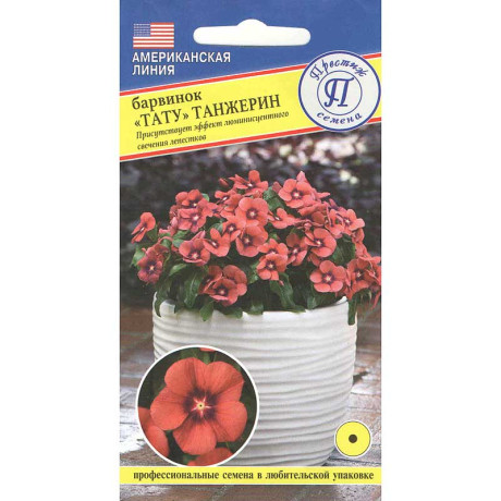 Барвинка Тату Танжерин Престиж