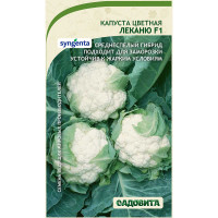 Капуста цветная Леканю F1 10шт Syngenta/Садовита Ц