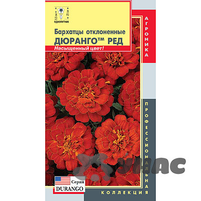 Бархатцы Дюранго Ред Плазма Ц