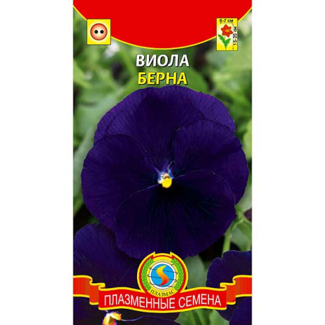 Виола Берна Плазма Ц