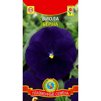 Виола Берна Плазма Ц