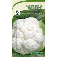 Капуста цветная Скайвокер F1 10шт Bejo/Садовита Ц