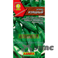 Огурец Изящный Аэлита Ц
