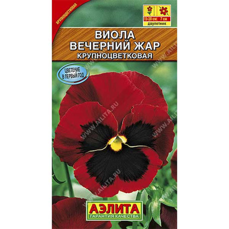 Виола Вечерний жар Аэлита Ц