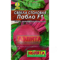 Свекла Пабло "Лидер" Аэлита Ц x10