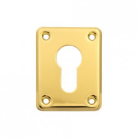 Накладка под цилиндр DP-C-01-G (Золото) прямоугольная Apecs  (1штука!)  \20