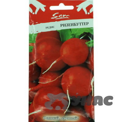 Редис Ризенбутер НК Ц