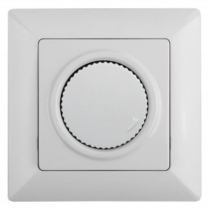 ЭРА Intro Solo диммер СУ 1 мест поворотный, 600Вт белый 4-401-01 53959
