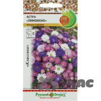 Астра Пиноккио смесь 50шт НК Ц